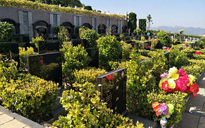 公墓信息网揭秘墓地忌讳选择哪个朝向?