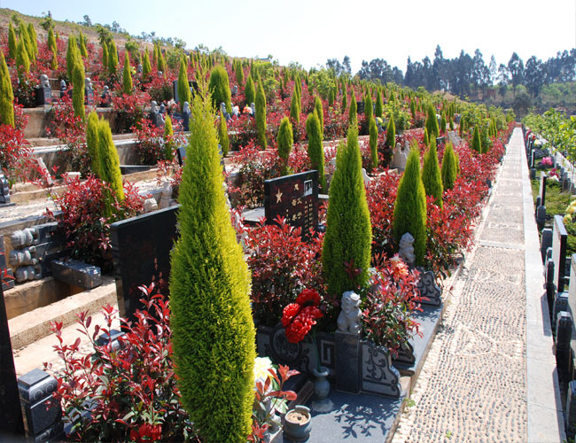 公墓位置怎么选?公墓信息网有何建议? 公墓位置怎么选?公墓信息网有何建议?