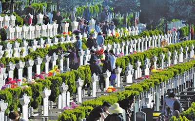 关于合法墓地有关问题，你来问我来答