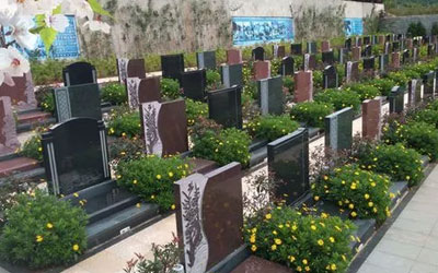 父母健在买墓地的讲究有哪些?