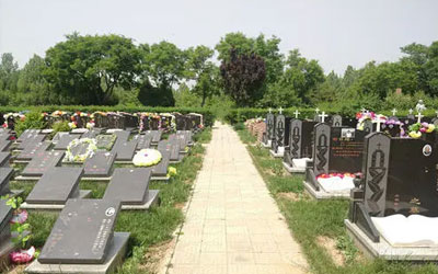 如何购买一个合适、性价比高、风水好的墓地？