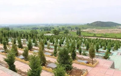 取得农村公益性墓地需要哪些条件