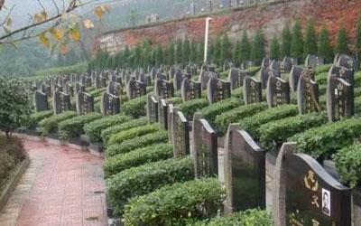 墓园不只是用来安葬逝者和悼念逝者