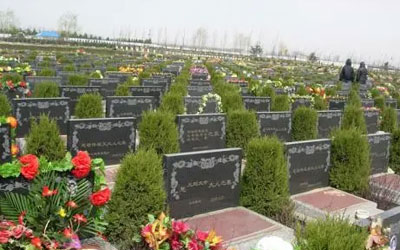 新的坟墓几年后会产生作用