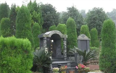 树木对墓地的弊和利