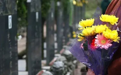 去墓地祭拜逝去的亲人选择什么花