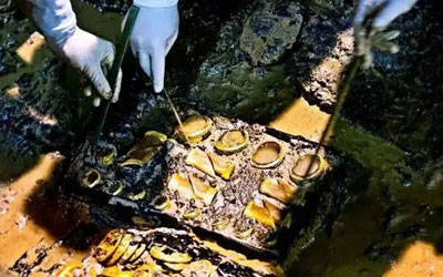 古代盛行的“厚葬”适合现代人吗？