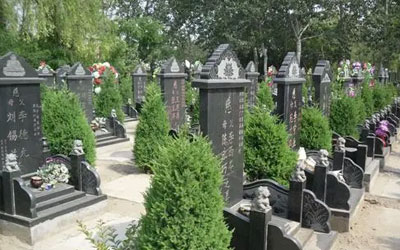 给老人提前购买墓地好不好？