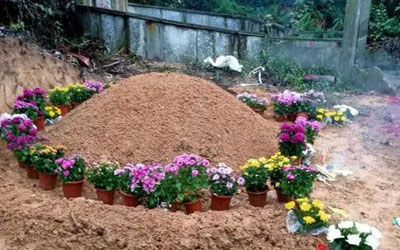 “落叶归根，入土为安”的信念为什么深深印在国人心中