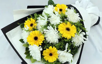 扫墓应该准备什么花？