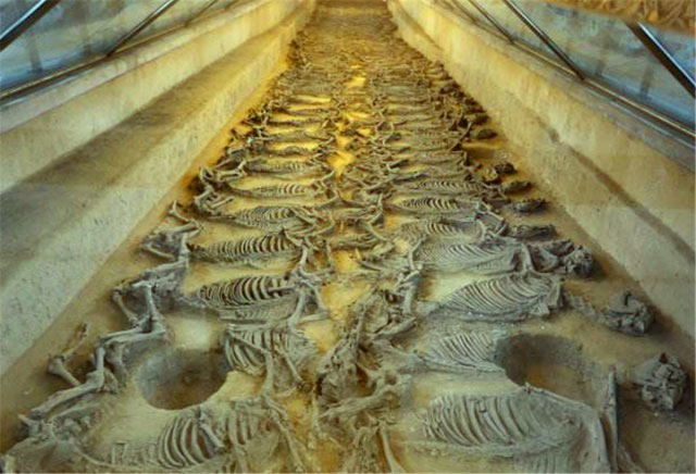 中国古人的墓都,分为“坟、墓、冢、陵”