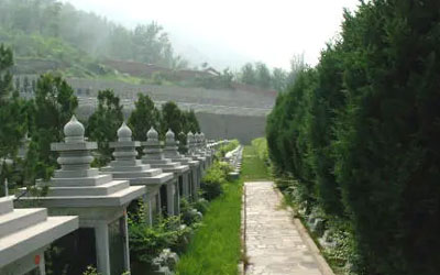 古代皇帝的陵墓前为啥只种松树不种柏树？原因你绝对想不到！