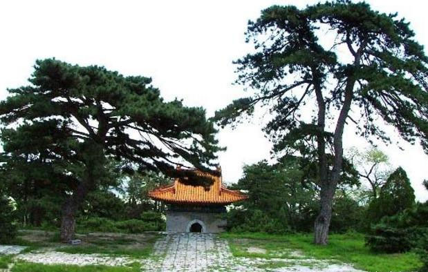 陵墓前的种树讲究