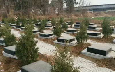 农村公益性墓地可以买卖吗？购买墓地时要注意什么？