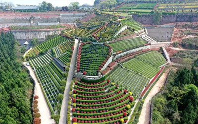 已故华侨，侨眷墓地安葬证明怎么办理