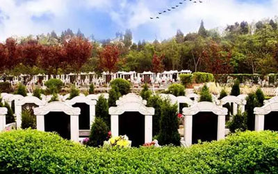 墓地的编号有什么讲究