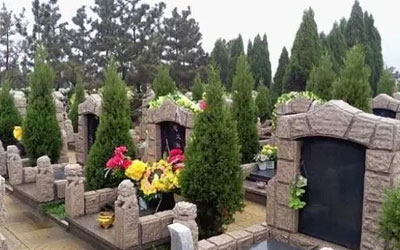 昆明墓地种树有什么讲究？