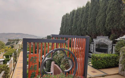 墓周边的树木杂草对后人和风水有没有影响？