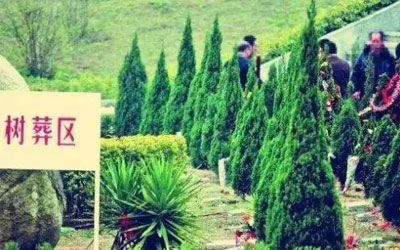 绿色殡葬和二维码生态葬