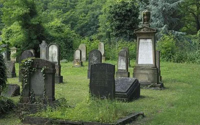 墓地和坟地有什么区别