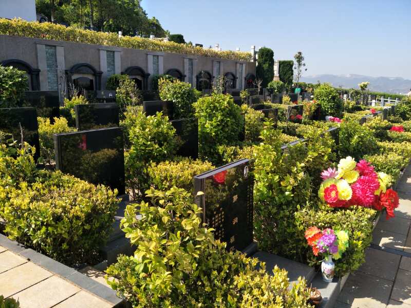 选择公墓墓地时排号有什么讲究?哪排墓地风水好?