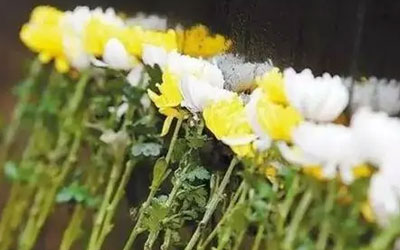 迁坟后以前的老墓地怎么办？这样做才是正确的