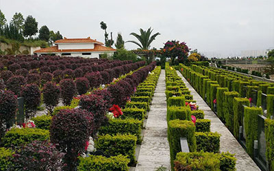 陵园公墓和阳宅一样需要有良好的光照条件