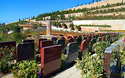 你知道吗即使是公墓也是需要阳光照射的