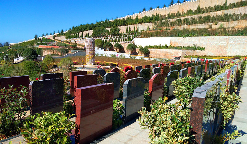 你知道吗即使是公墓也是需要阳光照射的