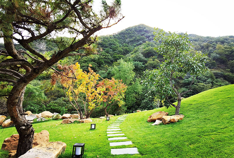 如果要在陵园公墓里种树是有很多讲究的