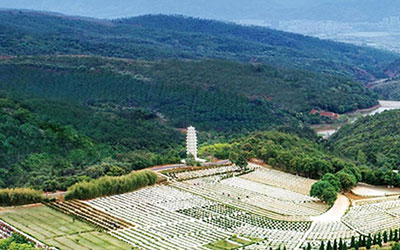 从这几处可能大致看出一块公墓的风水好坏了