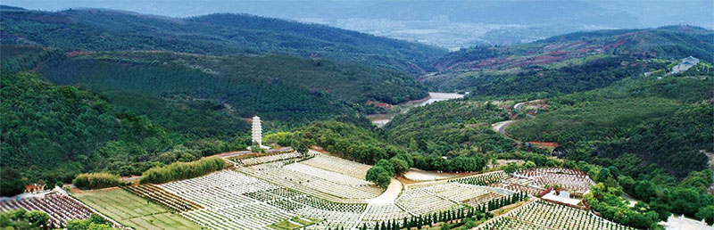 从这几处可能大致看出一块公墓的风水好坏了