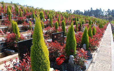 开殡葬死亡火化证明需要哪些手续,公墓信息网整理如下