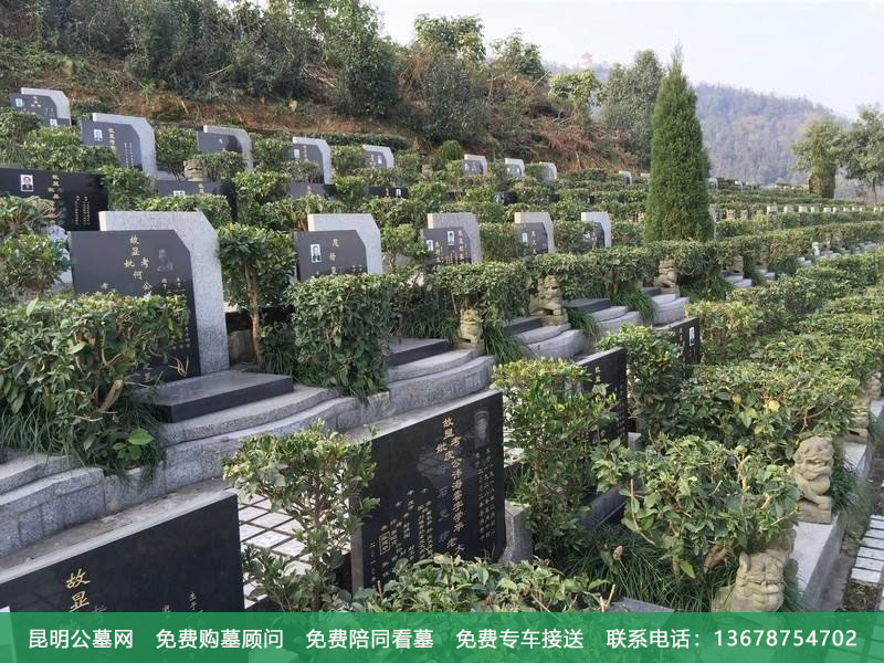 墓地葬法以什么为标准