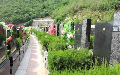 公墓信息网揭秘草坪葬是否保留骨灰盒,与传统公墓陵园相比有什么区别