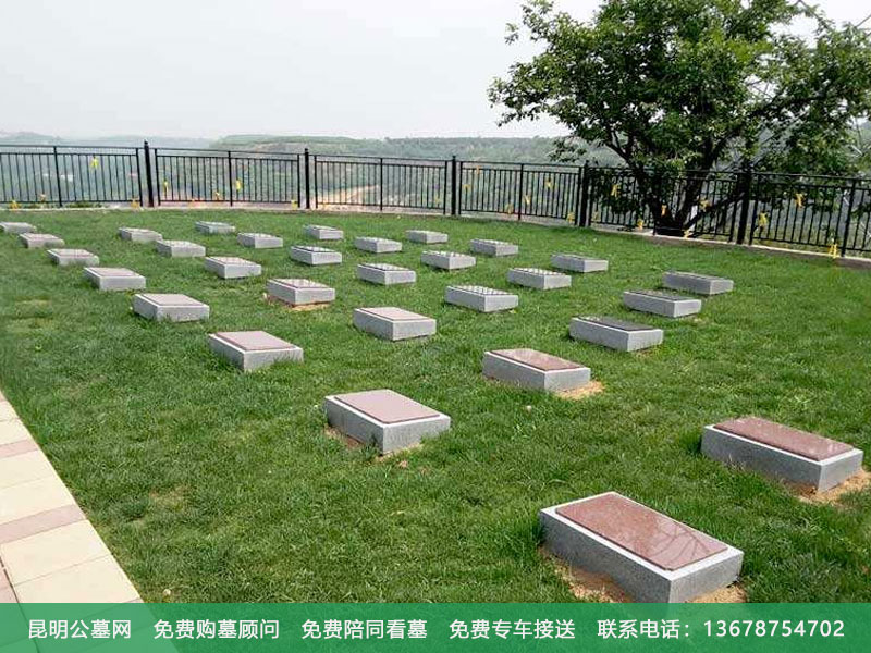 草坪葬是如何放骨灰盒的