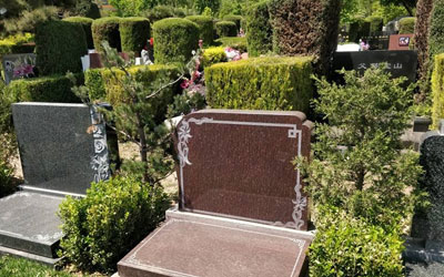 公墓出现以下情况有什么影响,是否会对子孙后代的风水运势有影响