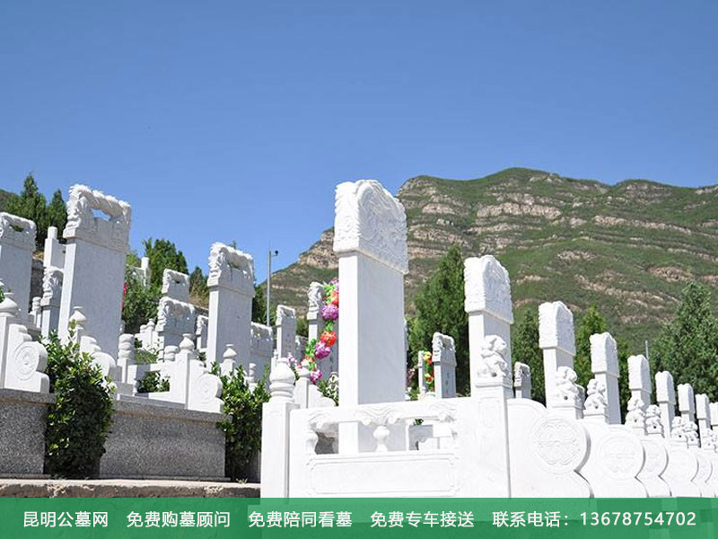 购买公墓需要哪些证件g