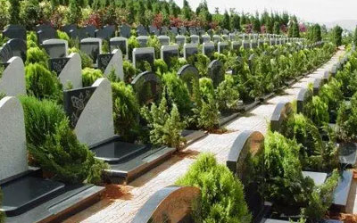 墓地风水如何布局,公墓信息网为你解答