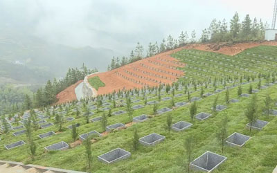 生态公墓的建设需要满足哪些条件