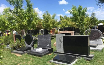 为什么有的墓地处植被茂盛,有的却寸草不生