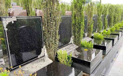 公墓的使用期限是多久,难道二十年不是指公墓产权期吗