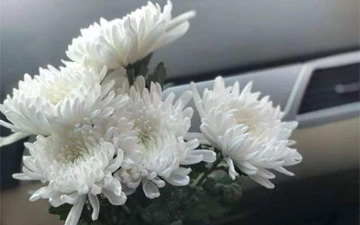 为什么祭奠需要花,花颜色有什么讲究吗