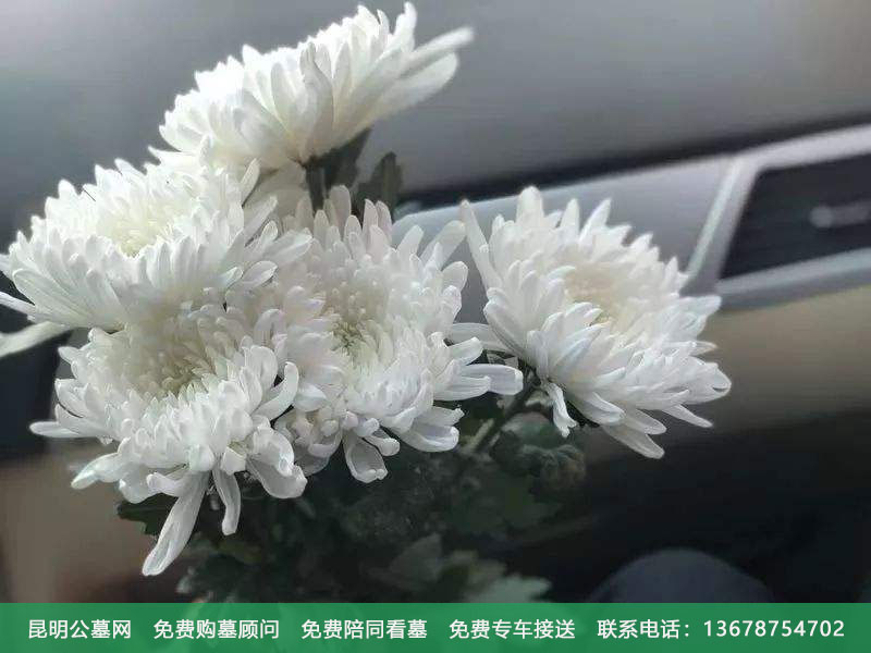 祭奠花的颜色有什么讲究