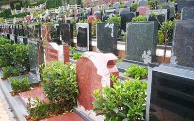 坟地墓地风水左青龙右北虎是咋回事,你知道吗