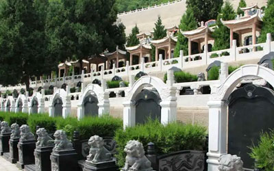 墓地周围种树好不好,昆明公墓提醒您不可乱种坏风水