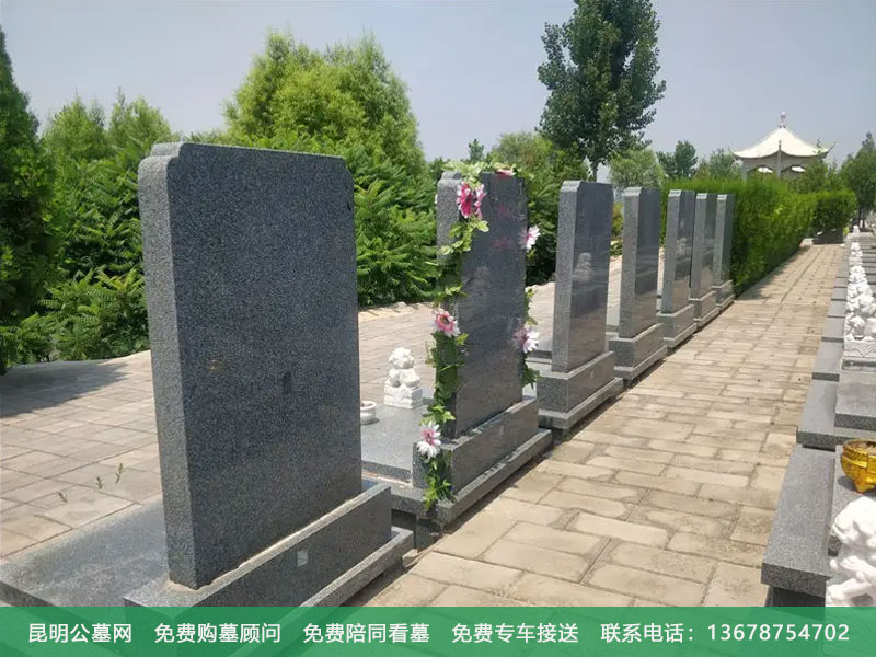 植物对墓地风水有何影响,植物与墓地风水的关系