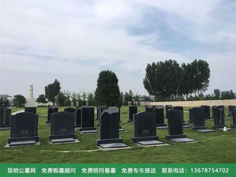 坟墓附近有树对墓地风水好吗,听听墓地风水师怎么说