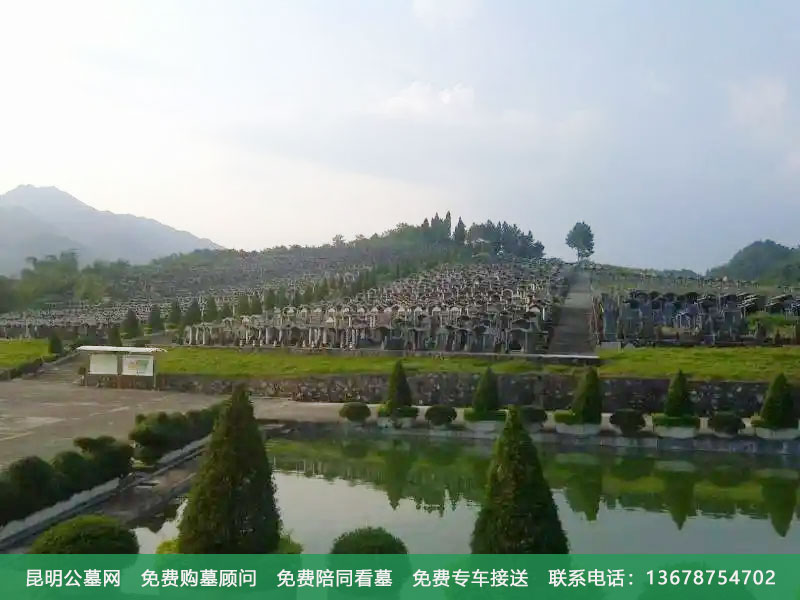 墓地长草是好是坏,会不会影响到墓地的风水?