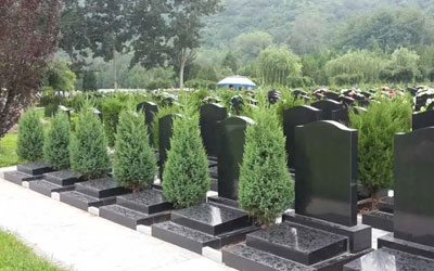 目前公墓墓穴使用性质各地略有不同